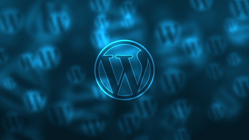Recommandation Wordpress pour site web