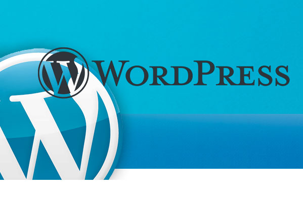 Agence Wordpress